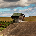 Autumn Landscape
