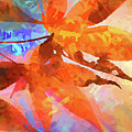 Autumn Leaves Abstract