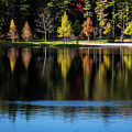 Fall Reflections at R. B. Winter