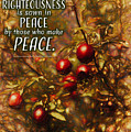 Fruit of Righteousness